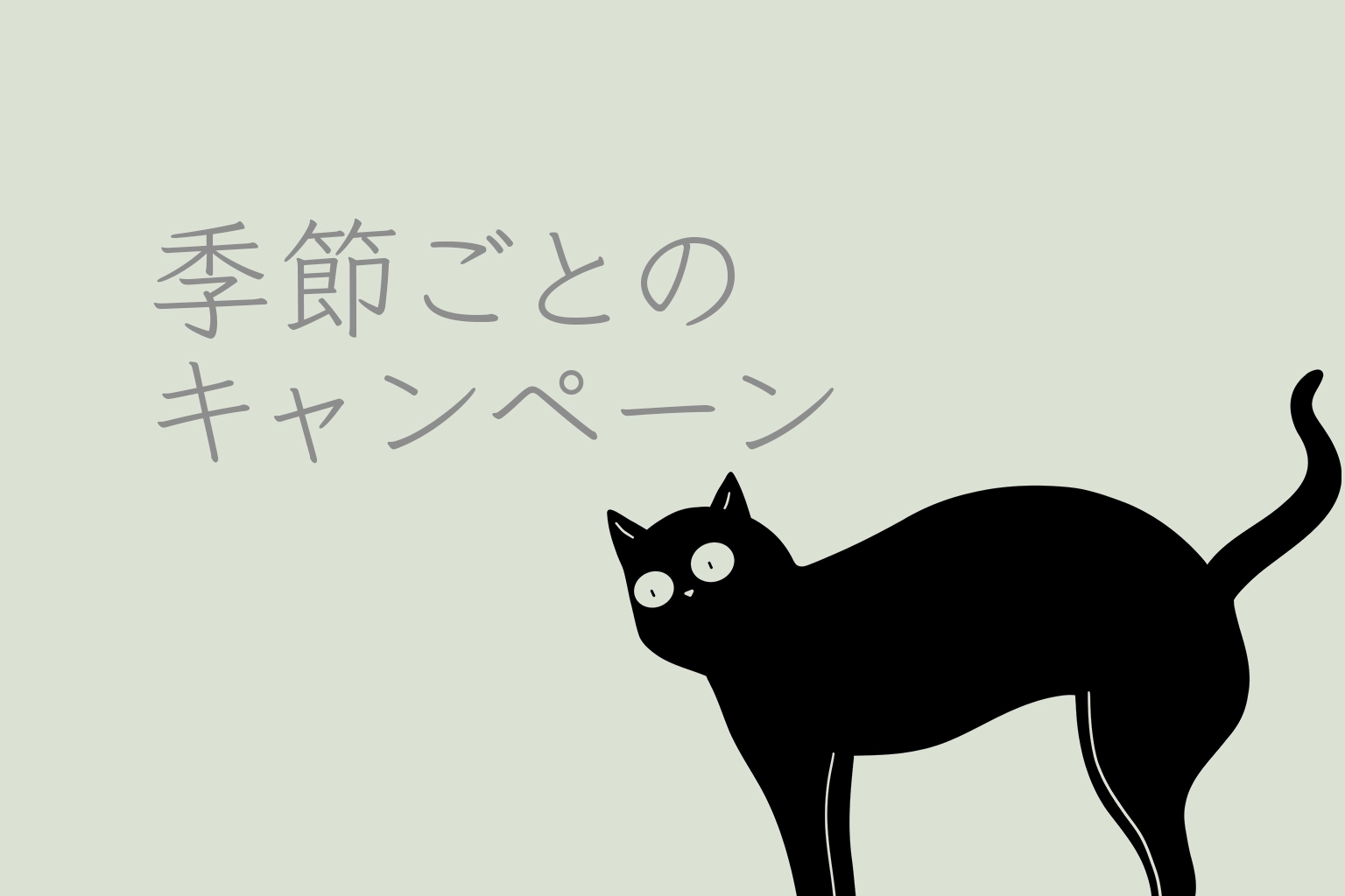 季節キャンペーン